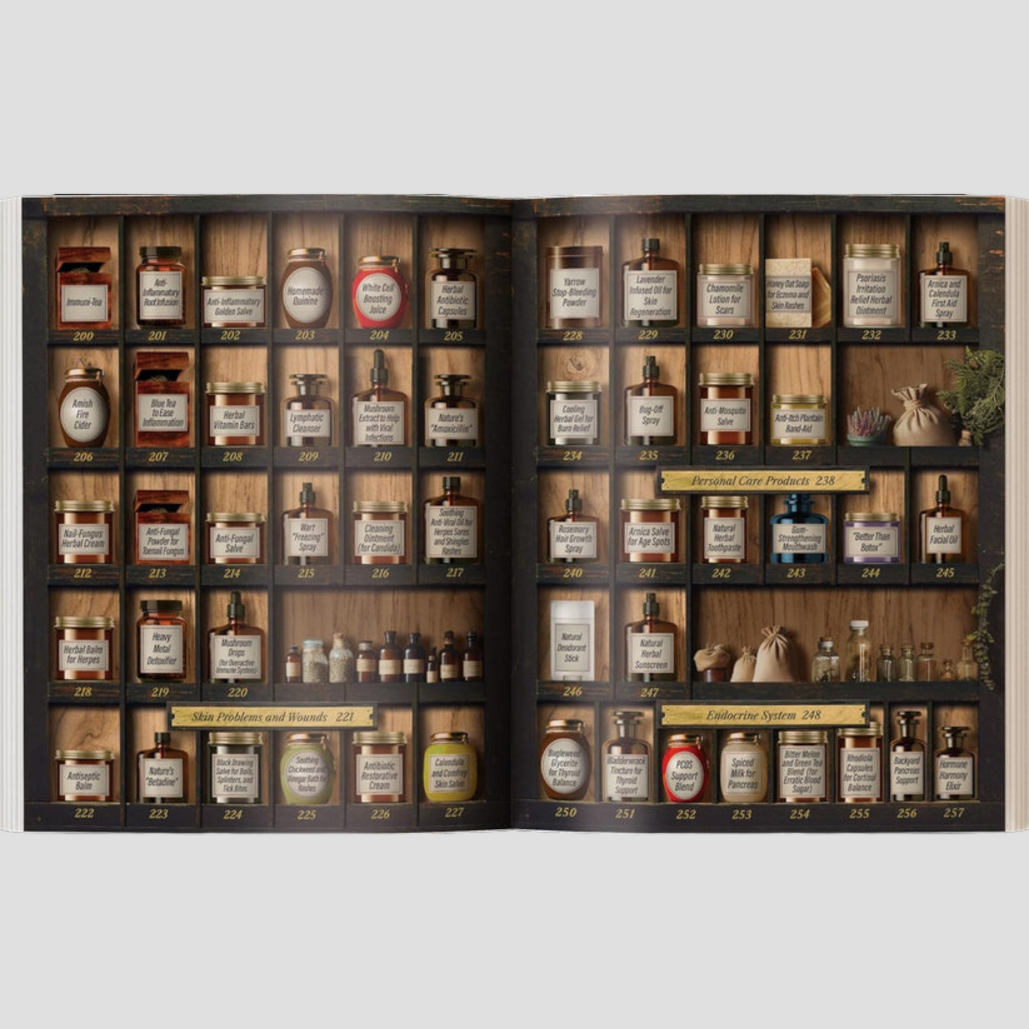 Forgotten Home Apothecary: 250 Powerful Remedies at Your Fingertips